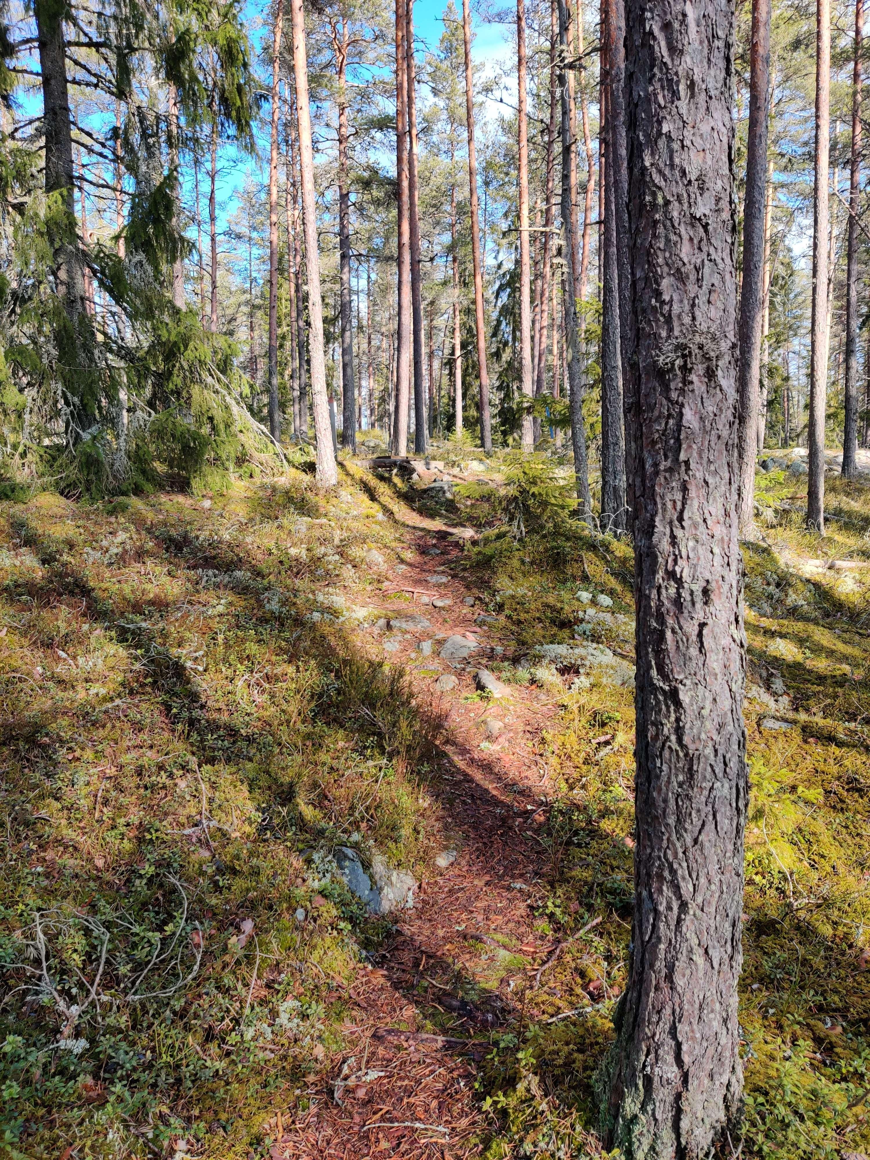 Nuijapolku (Tuiskula – Varpahaiskylä) – Kurikka