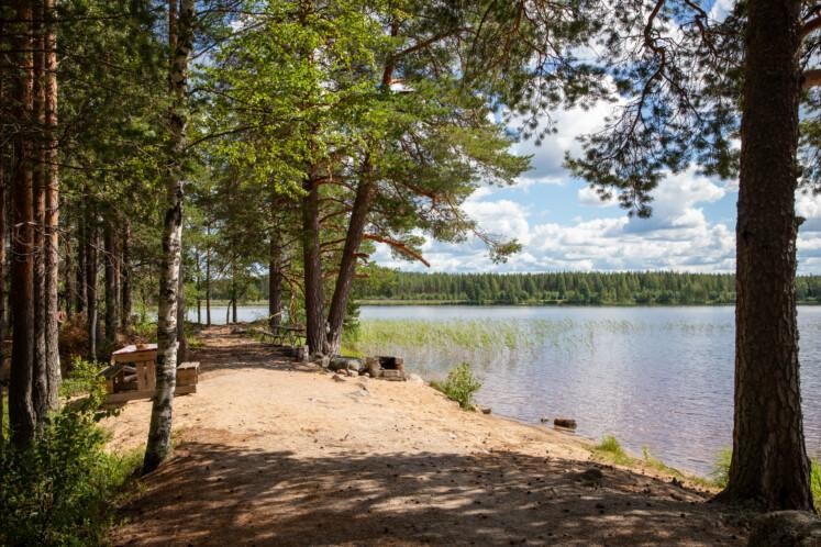 Iso-Madesjärven uimaranta. Etualalla hiekkainen ranta, jota puut varjostavat. Rannalla on pöytäryhmä. Taka-alalla tyyni järvi ja puita. Aurinko paistaa. 