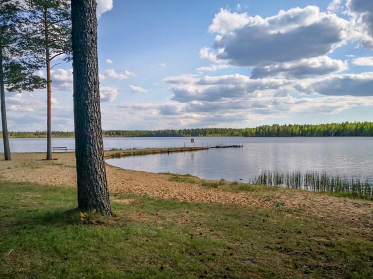 Säläisjärven uimaranta. Hiekkaranta, jossa kolme suurta puuta. Tyyni järvi. Puolipilvinen taivas. 