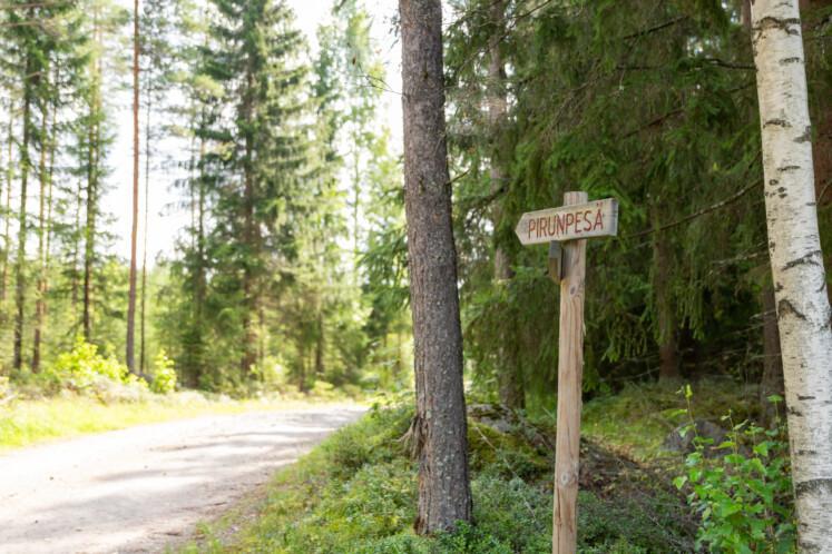 Keskikylä-Pirunpesä luontopolku. Taka-alalla leveä soratie. Etualalla on tien suuntaan puinen viitta, jossa lukee "Pirunpesä".