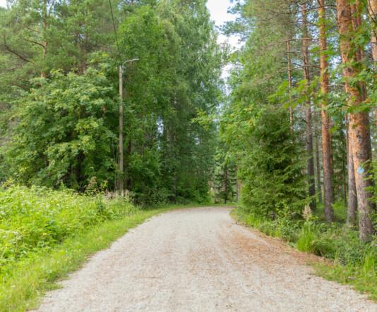 Ketunlenkki. Etualalla hiekkatie, jota lehtipuut ympäröivät. Oikealla yhden puun rungossa sininen reittimerkki.