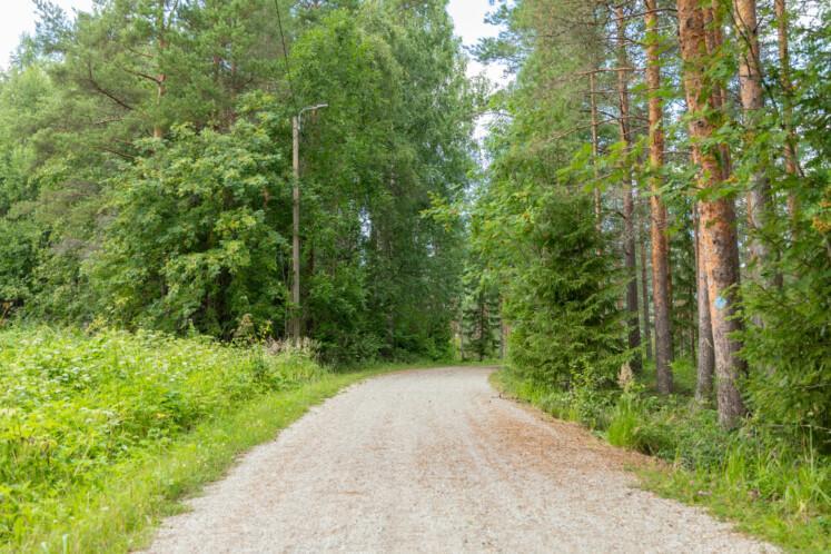 Ketunlenkki. Etualalla hiekkatie, jota lehtipuut ympäröivät. Oikealla yhden puun rungossa sininen reittimerkki. 